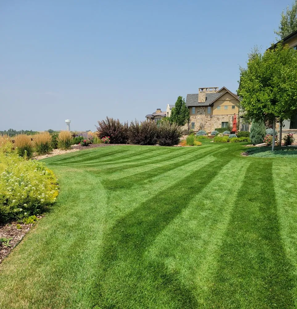 Custom yard maintenance with custom design in Fort Collins, CO by B & D Better Yards and Gardens