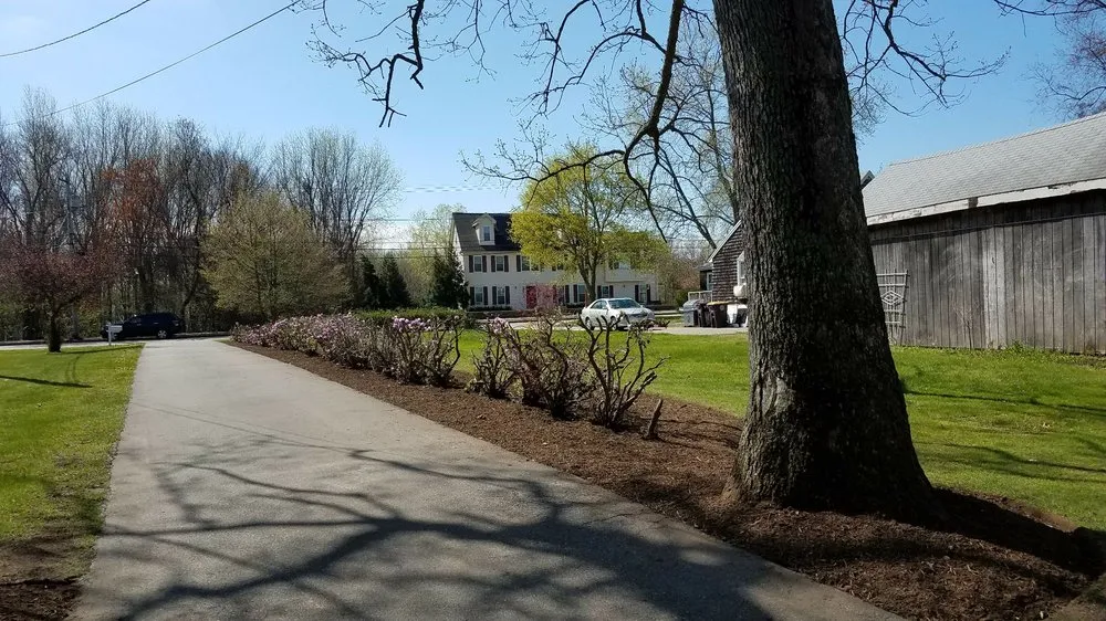 Expert yard cleanup service experts serving Abington, MA - B & D Landscaping