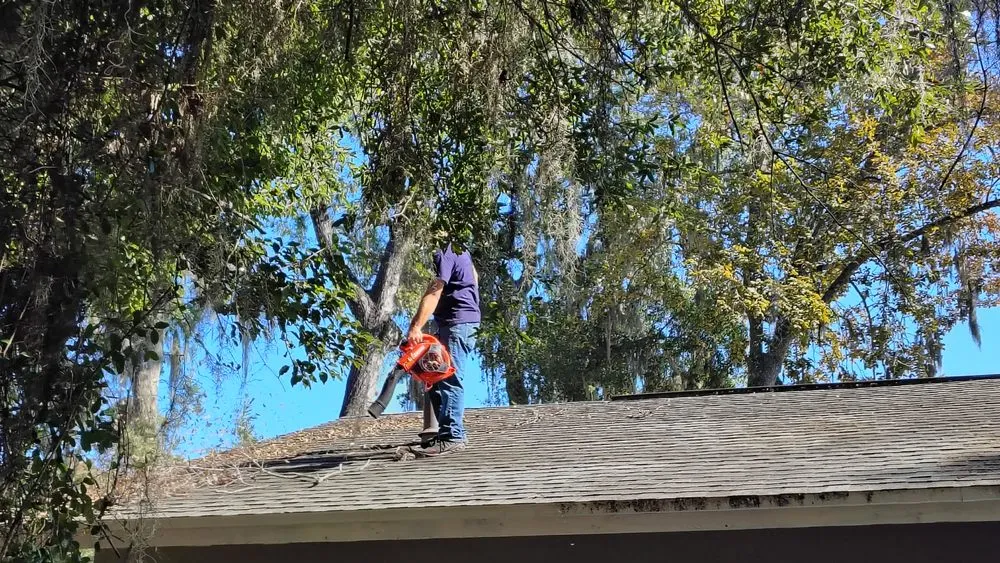 Reliable garden landscaping for residential properties across Summerfield, FL - B & D Lawn Maintenance