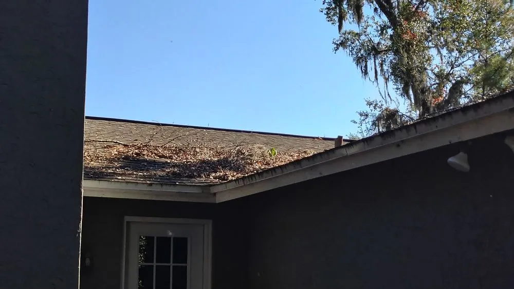 Professional lawn mowing service for year-round maintenance across Summerfield, FL - B & D Lawn Maintenance