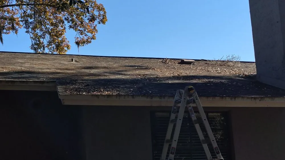 Trusted garden landscaping for residential properties in Summerfield, FL by B & D Lawn Maintenance