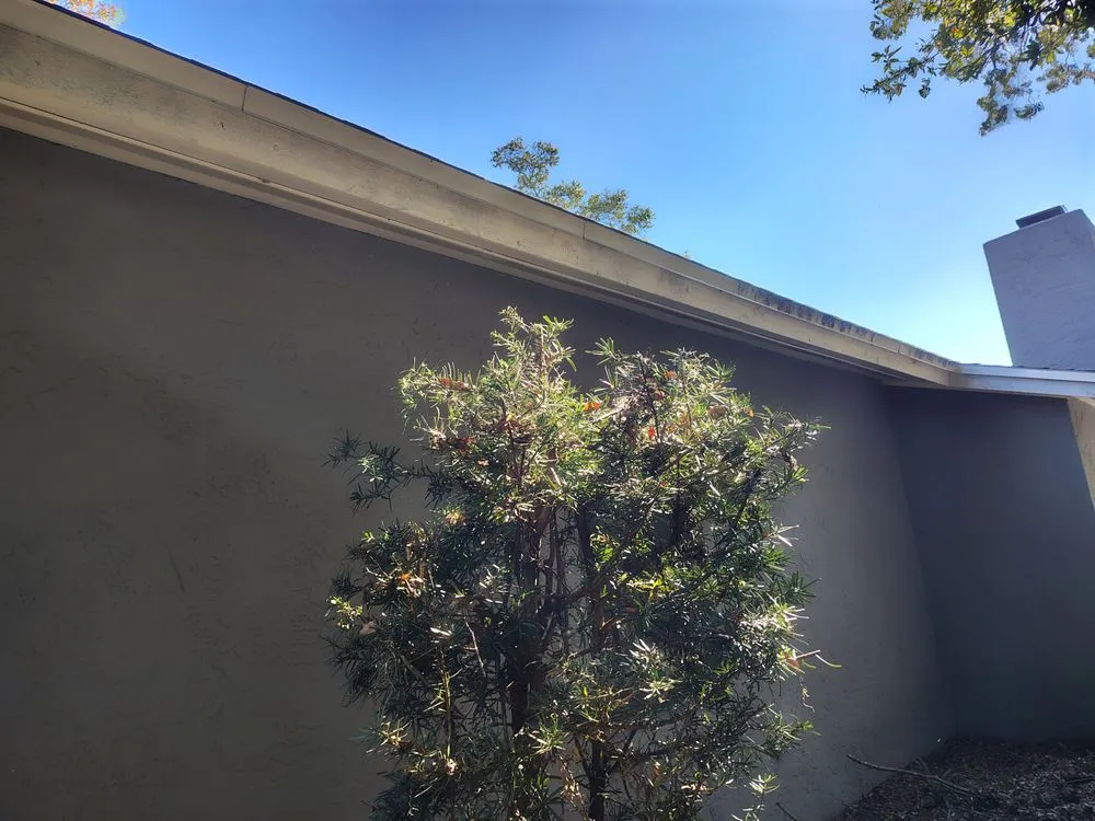 Top-rated landscaping services for outdoor upgrades across Summerfield, FL - B & D Lawn Maintenance