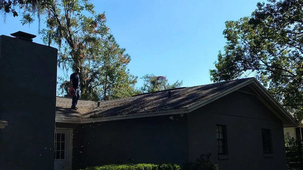 Professional landscape design with custom design in Summerfield, FL by B & D Lawn Maintenance