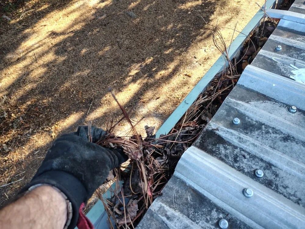 Top-rated yard cleanup service in Summerfield, FL by B & D Lawn Maintenance