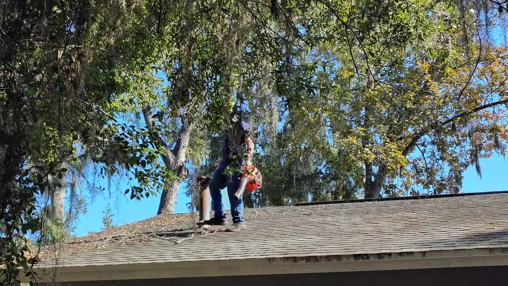 Local garden landscaping experts serving Summerfield, FL - B & D Lawn Maintenance