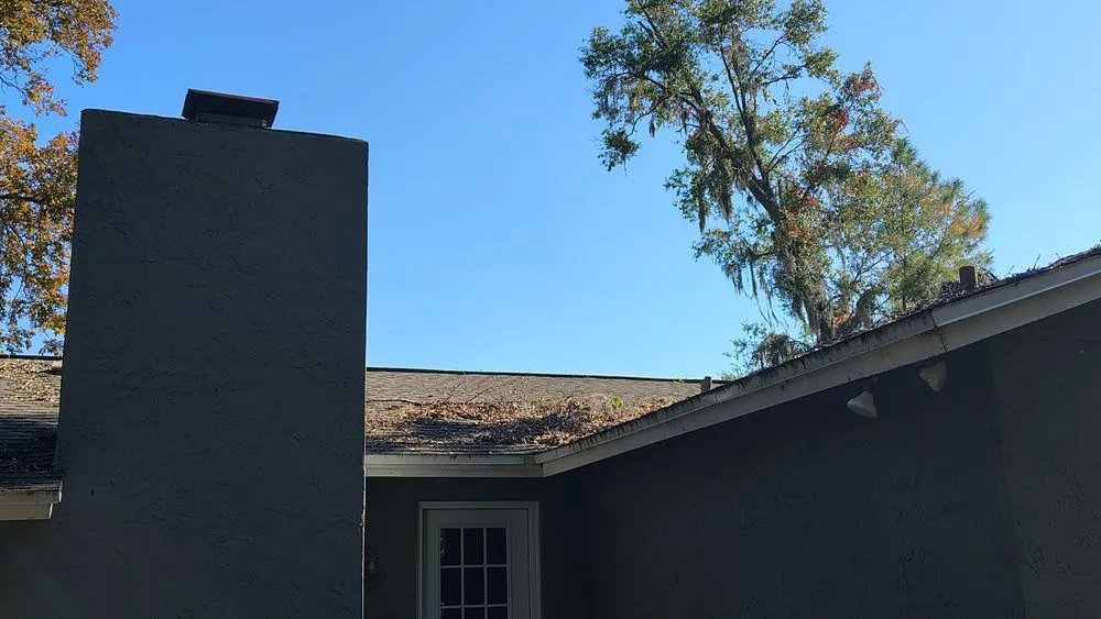 Top-rated lawn care service experts serving Summerfield, FL - B & D Lawn Maintenance