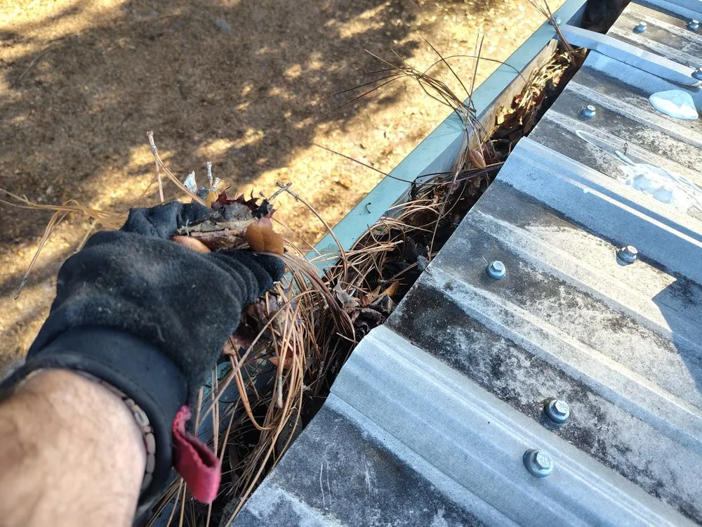 Professional landscape installation near you in Summerfield, FL by B & D Lawn Maintenance