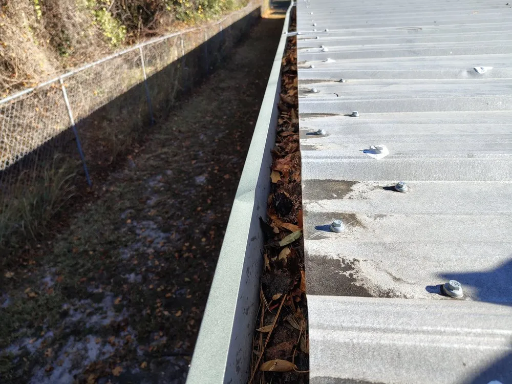 Reliable residential landscaping in Summerfield, FL by B & D Lawn Maintenance