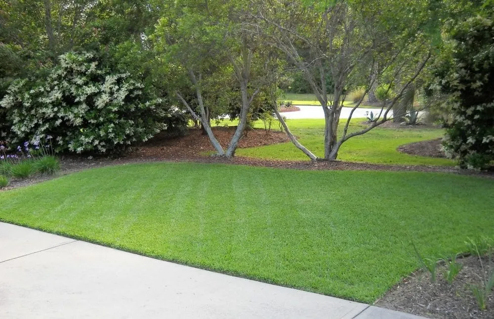 Affordable landscape installation for outdoor upgrades in Grand Junction, CO by B & D Lawn Services