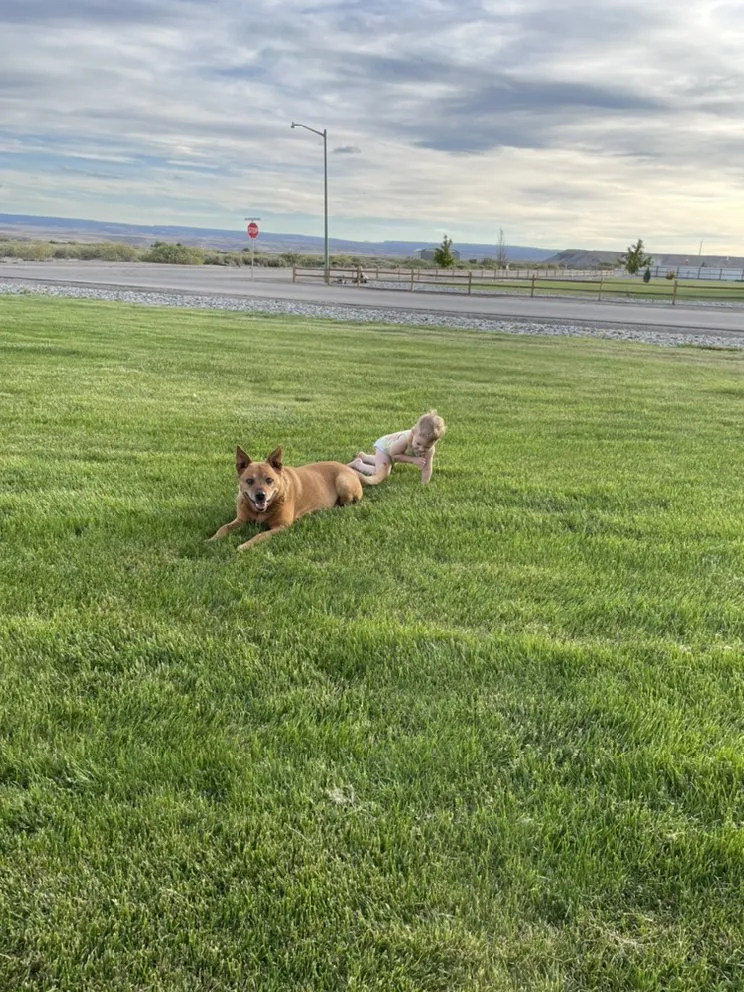 Top-rated lawn mowing service near you in Grand Junction, CO by B & D Lawn Services