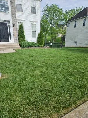 B & D Lawn Services Logo