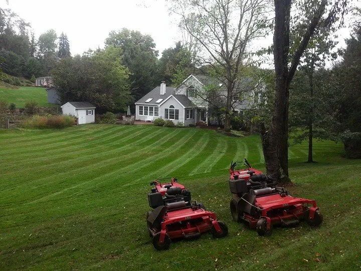 Local landscape installation in Pittsburgh, PA by B & D Proscape