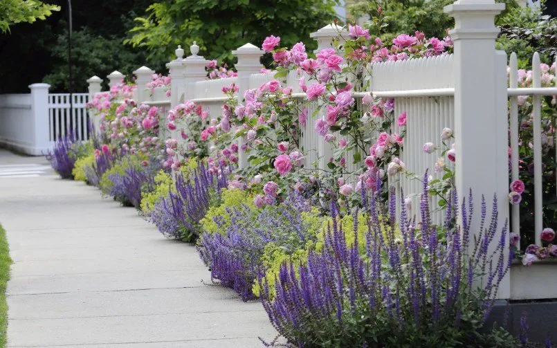 Trusted yard cleanup service in Nashville, TN by B & E Irrigation