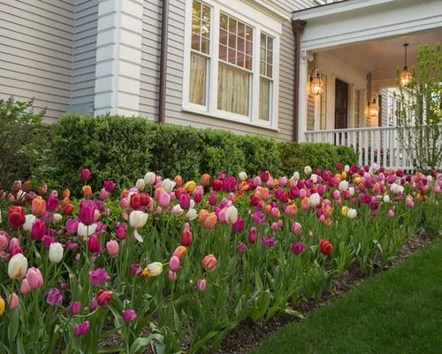 Affordable garden landscaping experts serving Nashville, TN - B & E Irrigation