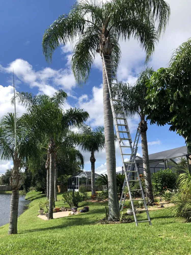 Trusted landscape installation in Melbourne, FL by B & E Lawn Maintenance