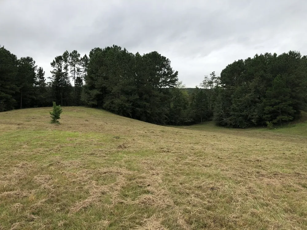 Custom garden landscaping experts serving Tylertown, MS - B & G Land Clearing Service