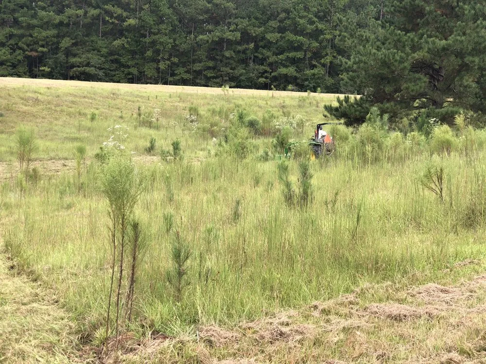 Custom landscape installation in Tylertown, MS by B & G Land Clearing Service