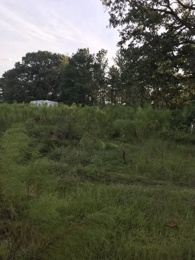 Reliable yard cleanup service in Tylertown, MS by B & G Land Clearing Service