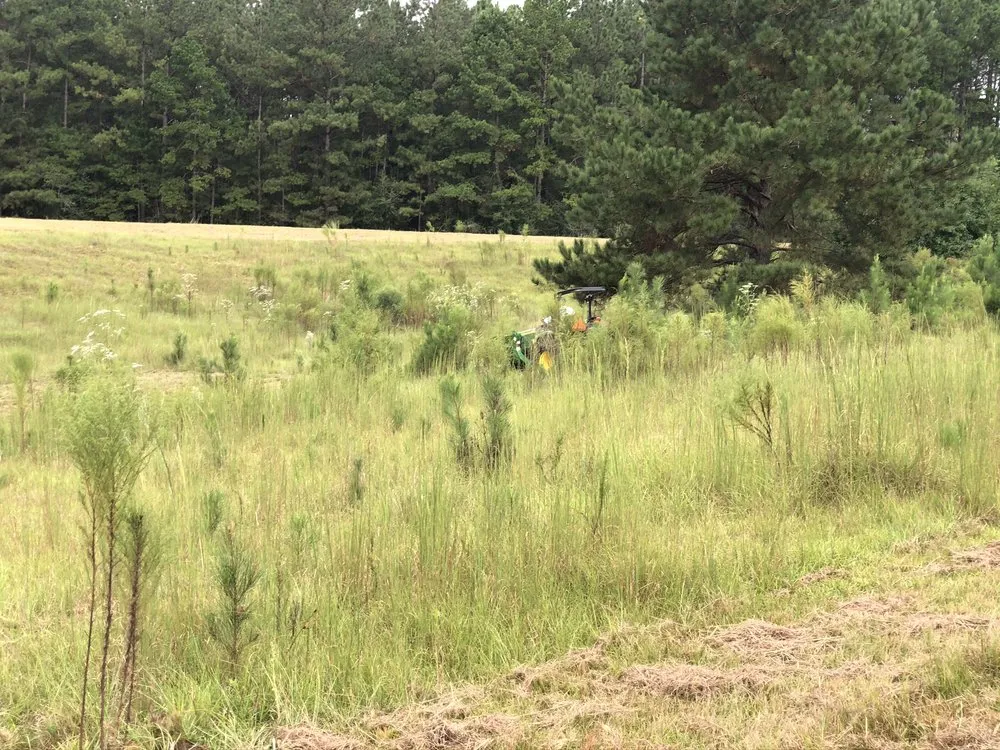 Affordable garden landscaping experts serving Tylertown, MS - B & G Land Clearing Service