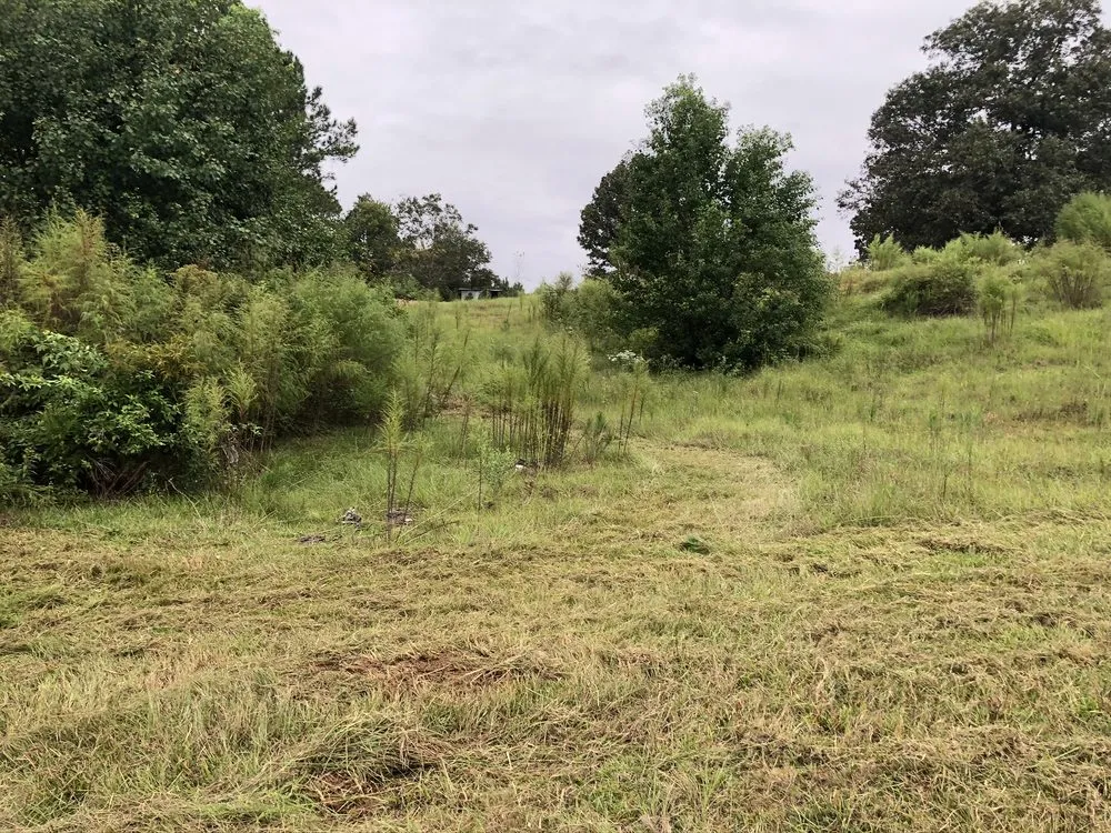 Professional landscaping services in Tylertown, MS - B & G Land Clearing Service