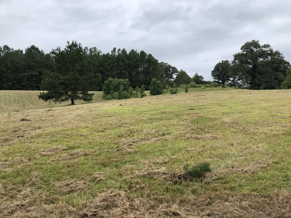 Expert yard cleanup service for homes in Tylertown, MS by B & G Land Clearing Service