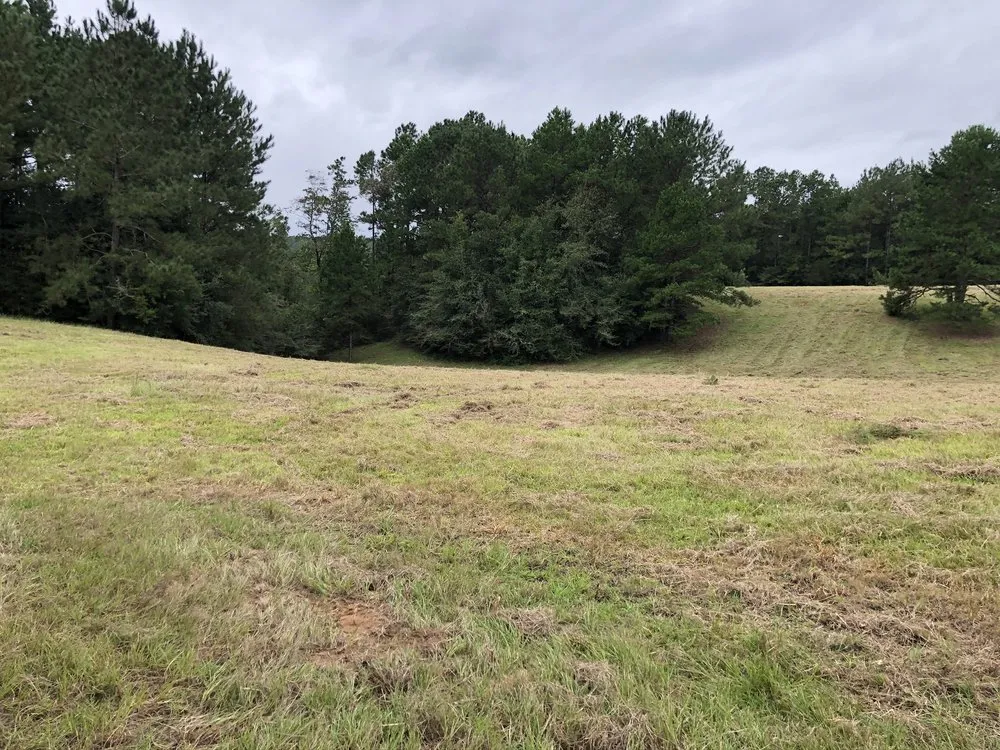 Trusted outdoor landscaping for year-round maintenance in Tylertown, MS by B & G Land Clearing Service