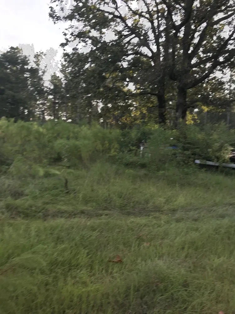 Expert landscaping services for outdoor upgrades across Tylertown, MS - B & G Land Clearing Service