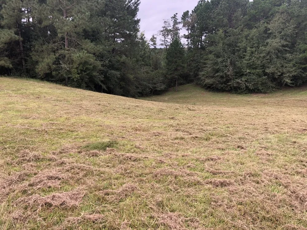 Affordable outdoor landscaping in Tylertown, MS by B & G Land Clearing Service