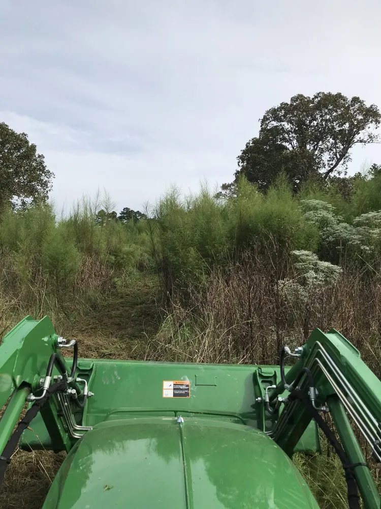 Affordable yard cleanup service experts serving Tylertown, MS - B & G Land Clearing Service