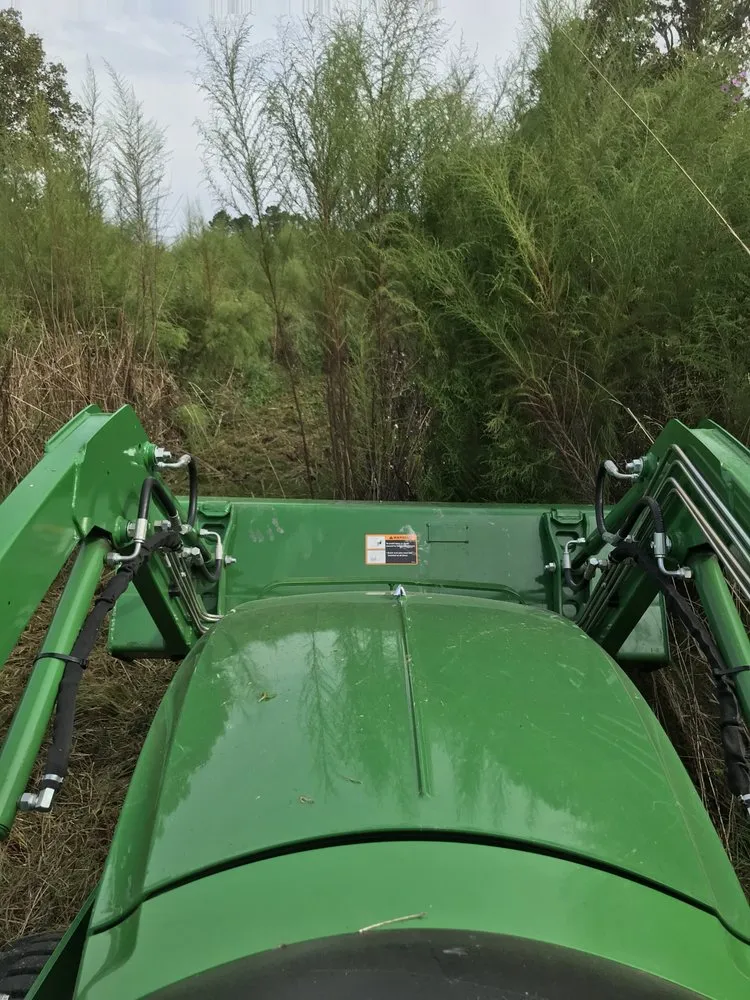 Local yard cleanup service in Tylertown, MS by B & G Land Clearing Service