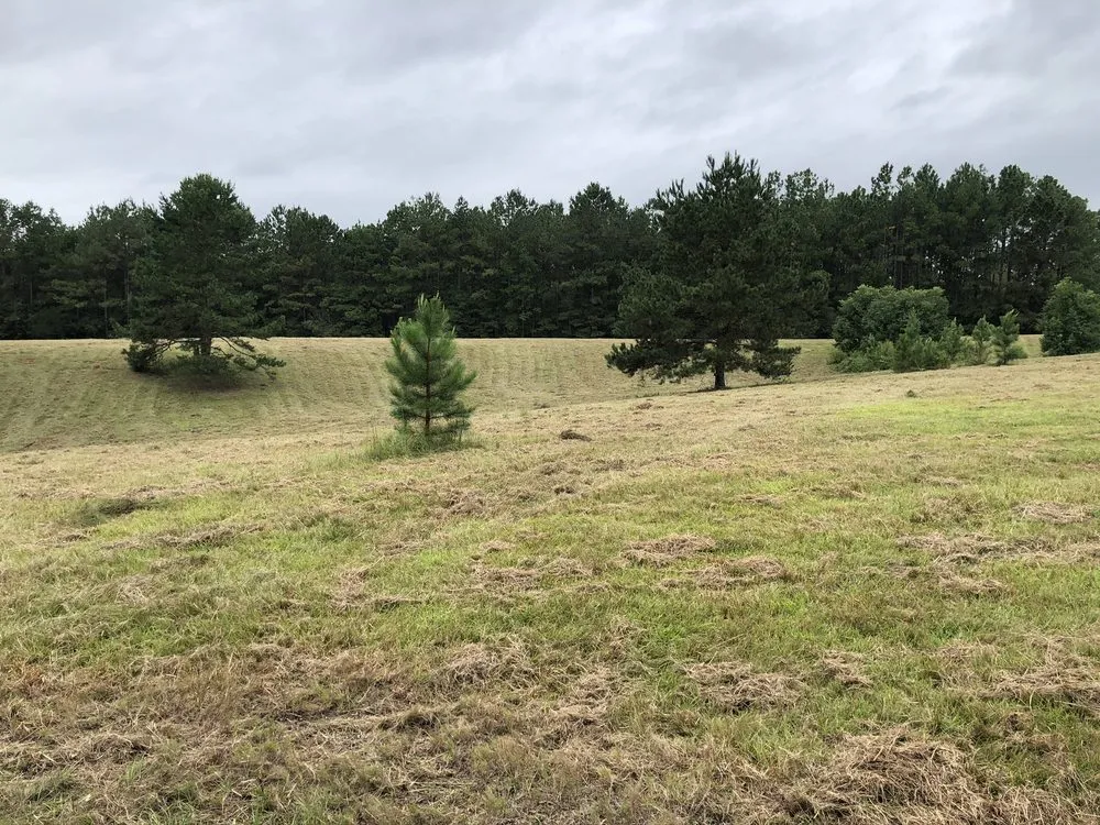 Reliable landscape design in Tylertown, MS by B & G Land Clearing Service