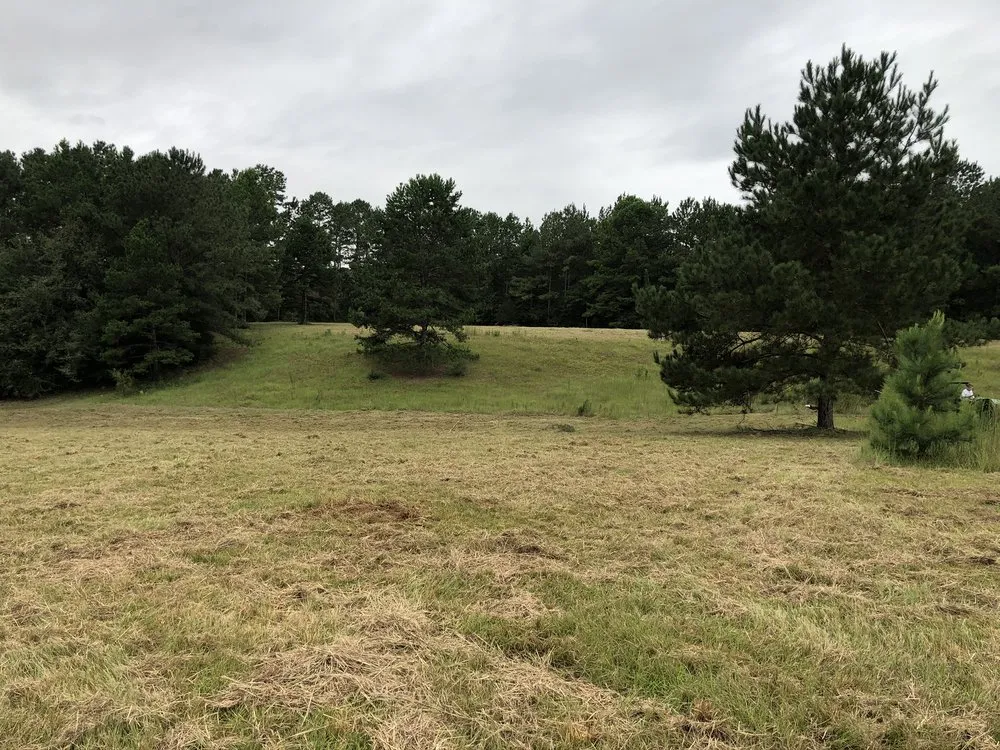 Expert landscaping services in Tylertown, MS - B & G Land Clearing Service