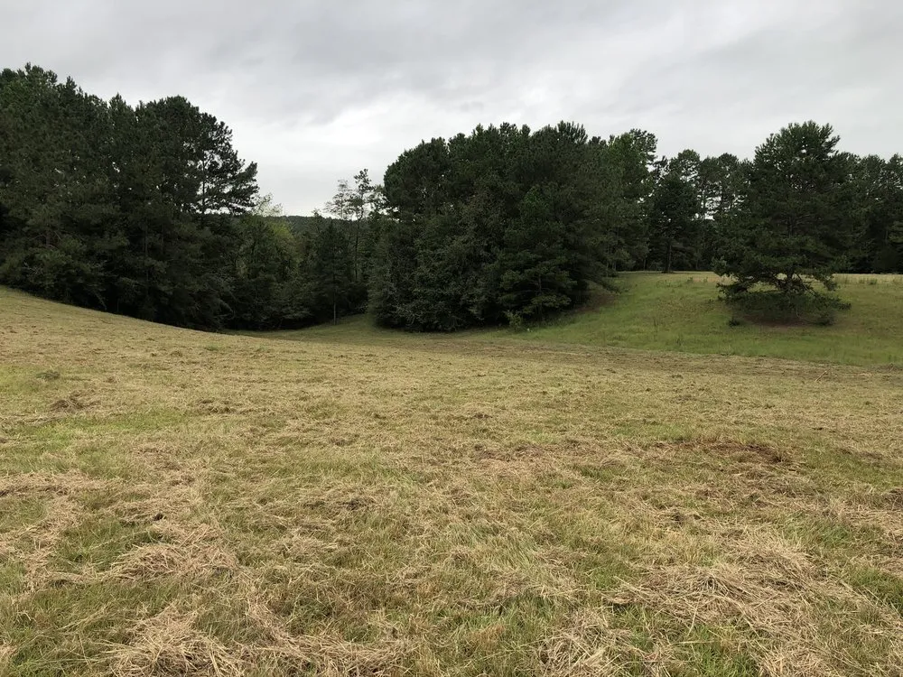 Reliable landscape installation in Tylertown, MS - B & G Land Clearing Service