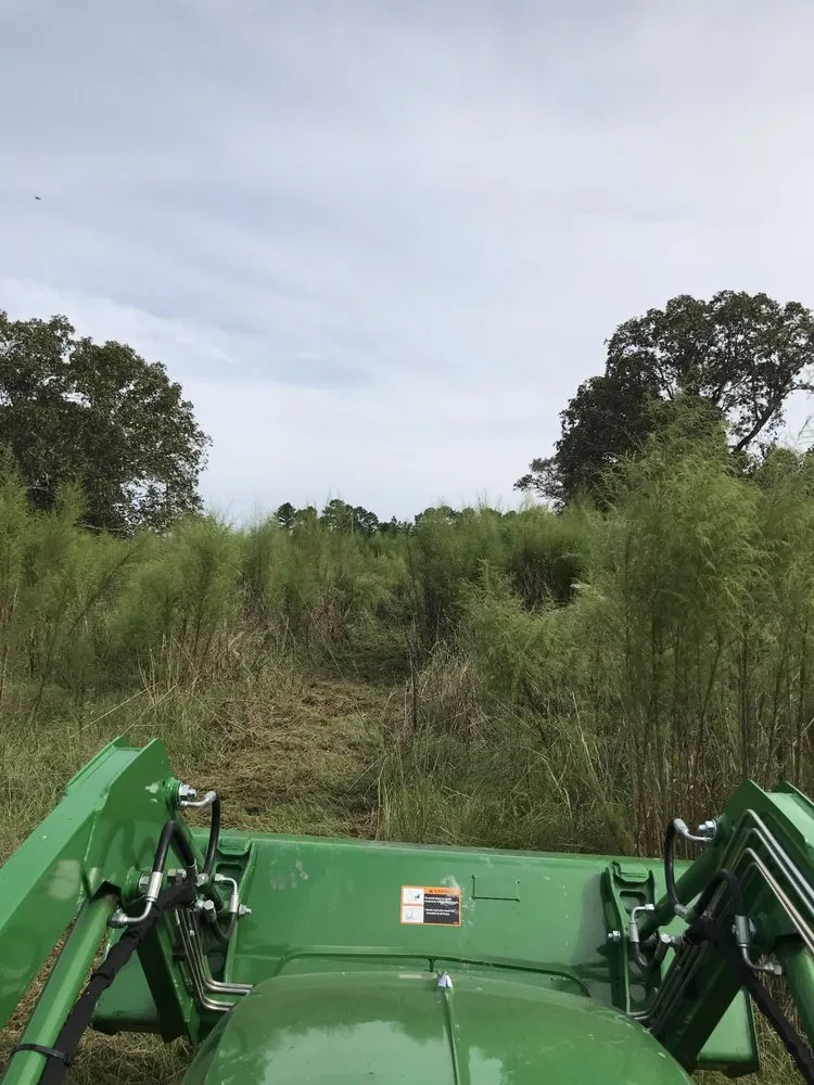 Affordable landscaping services in Tylertown, MS by B & G Land Clearing Service