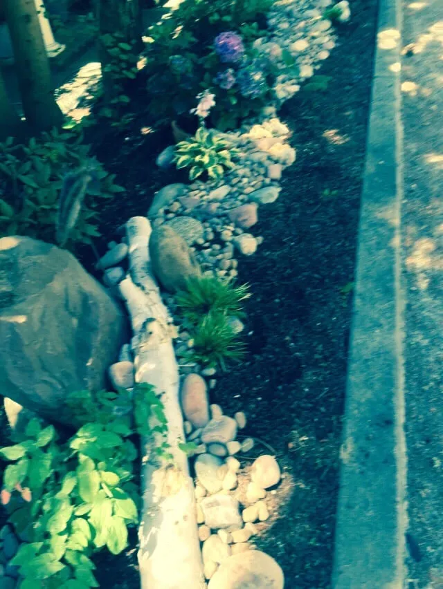 Reliable yard cleanup service in Auburn, WA - B & G Landscaping