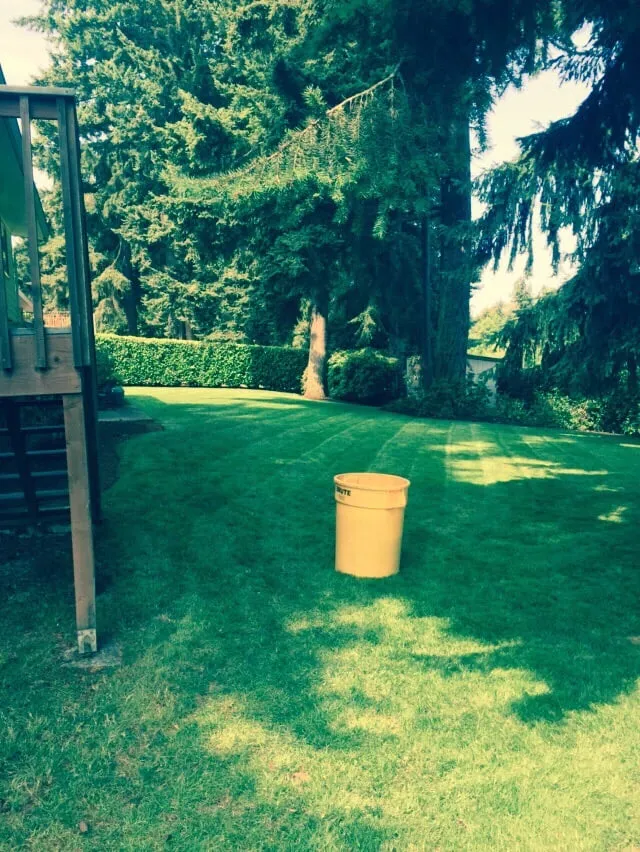 Reliable lawn care service in Auburn, WA - B & G Landscaping