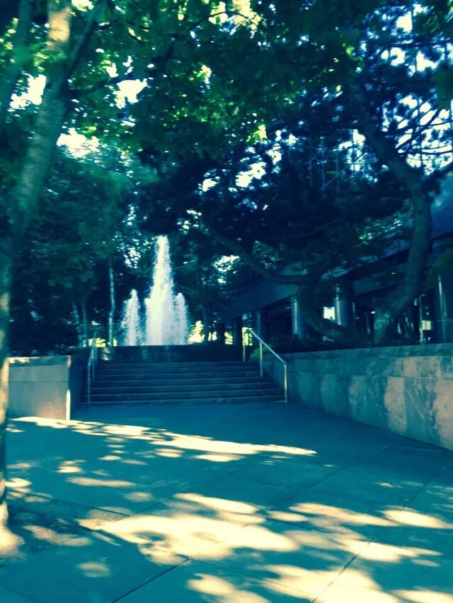 Expert yard maintenance for outdoor upgrades across Auburn, WA - B & G Landscaping