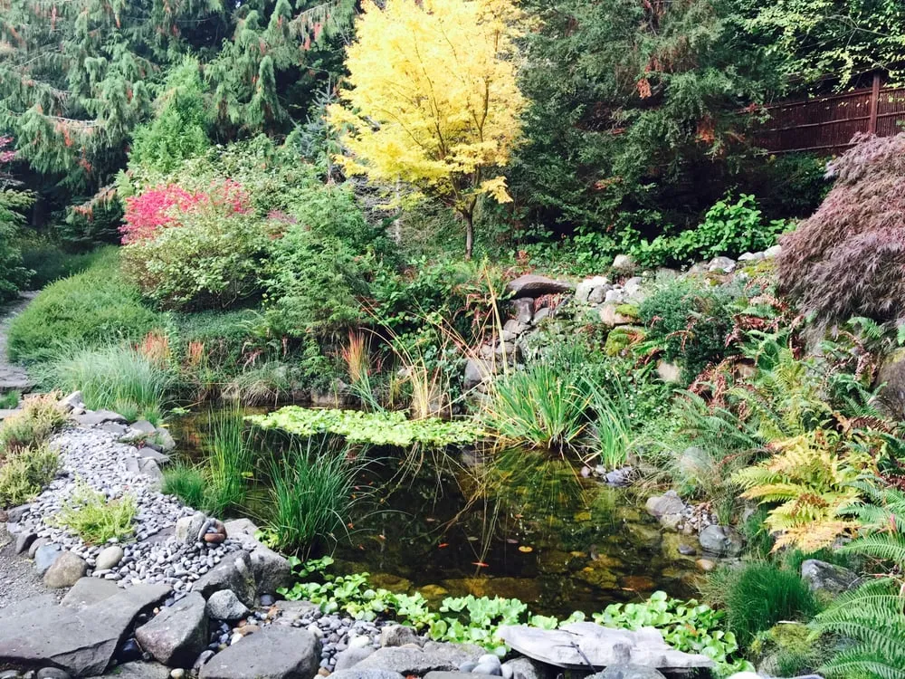 Trusted lawn care service experts serving Auburn, WA - B & G Landscaping