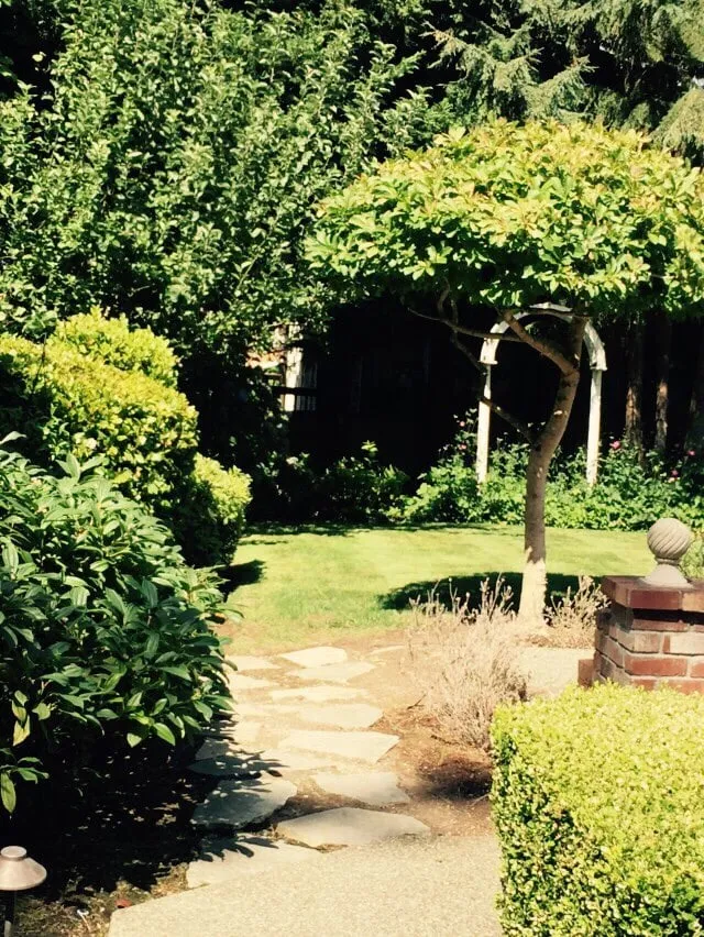 Professional landscaping services in Auburn, WA by B & G Landscaping