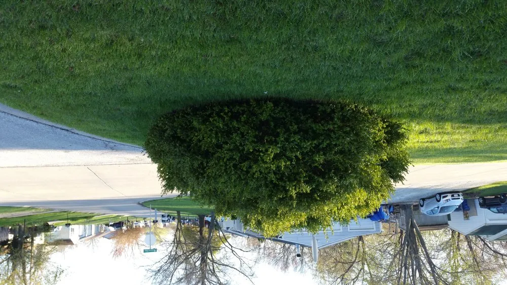 Custom lawn mowing service for outdoor upgrades in Ofallon, MO by B & G Lawn Care