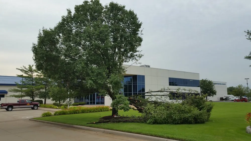 Custom yard cleanup service in Ofallon, MO by B & G Lawn Care