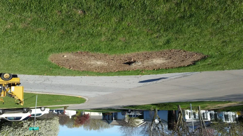 Custom yard maintenance in Ofallon, MO by B & G Lawn Care