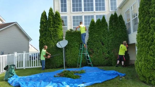 B & G Lawn Care Logo