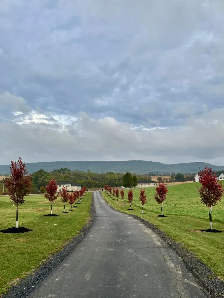 Top-rated residential landscaping in Houtzdale, PA - B & G Trees