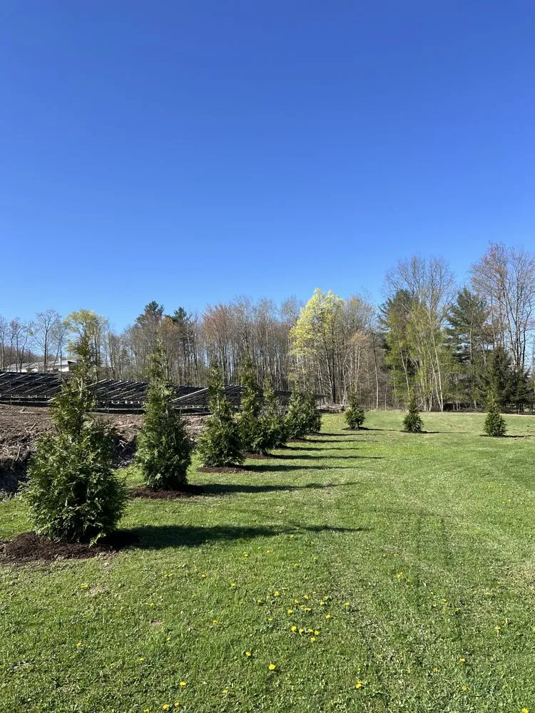 Professional yard maintenance for homes across Houtzdale, PA - B & G Trees