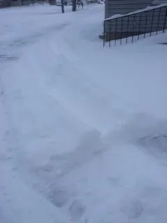 Top-rated residential landscaping in Minneapolis, MN - B & H'fairway'lawn Maintenance