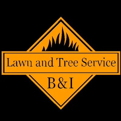 B & I Lawn Service Logo