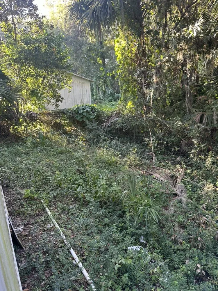 Custom landscape installation in Palm Bay, FL by B & Jays Landscaping