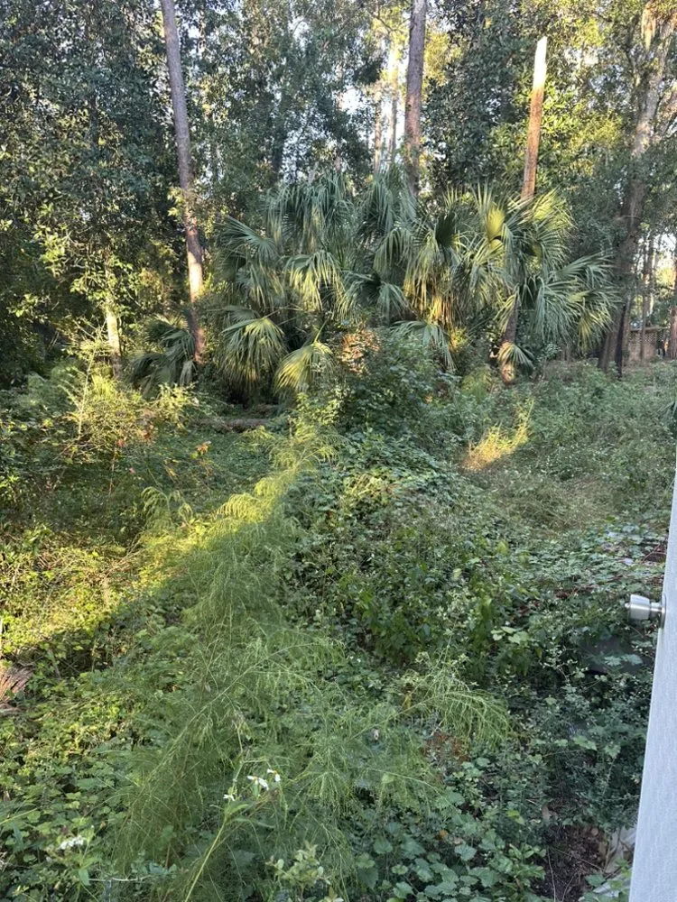 Reliable garden landscaping with custom design across Palm Bay, FL - B & Jays Landscaping