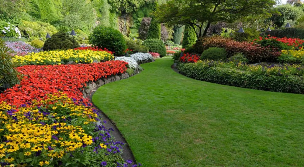 Affordable yard cleanup service in Palm Bay, FL - B & Jays Landscaping